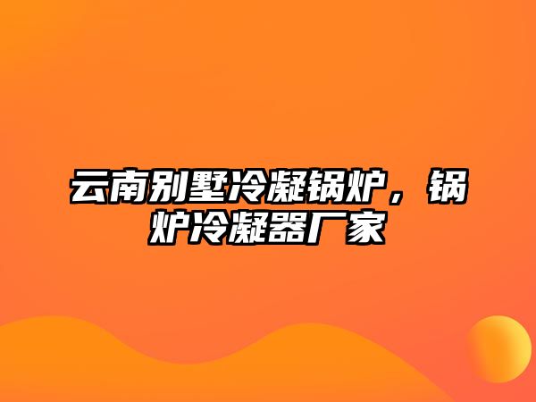 云南別墅冷凝鍋爐，鍋爐冷凝器廠家