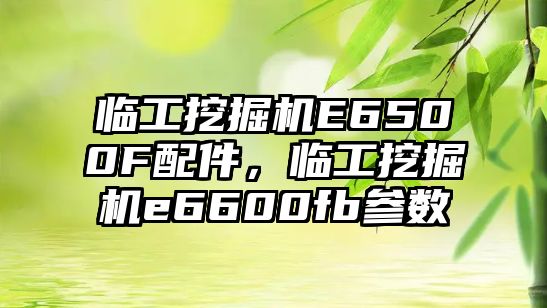 臨工挖掘機E6500F配件，臨工挖掘機e6600fb參數(shù)