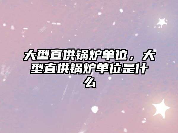 大型直供鍋爐單位，大型直供鍋爐單位是什么