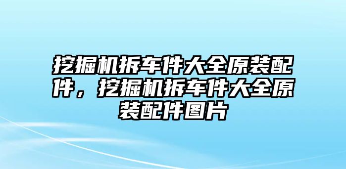 挖掘機(jī)拆車件大全原裝配件，挖掘機(jī)拆車件大全原裝配件圖片