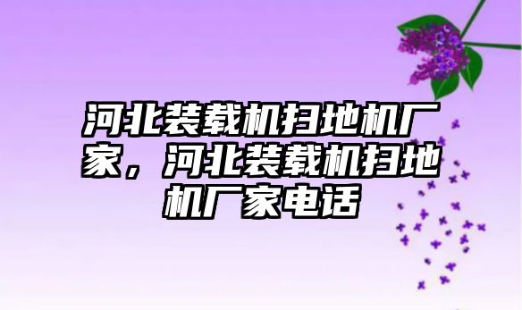 河北裝載機(jī)掃地機(jī)廠家，河北裝載機(jī)掃地機(jī)廠家電話