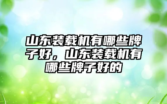 山東裝載機有哪些牌子好，山東裝載機有哪些牌子好的