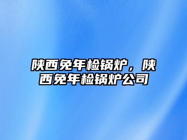 陜西免年檢鍋爐，陜西免年檢鍋爐公司