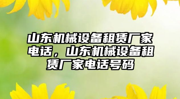 山東機械設(shè)備租賃廠家電話，山東機械設(shè)備租賃廠家電話號碼