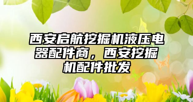 西安啟航挖掘機液壓電器配件商，西安挖掘機配件批發(fā)