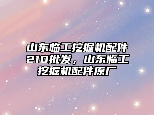 山東臨工挖掘機(jī)配件210批發(fā)，山東臨工挖掘機(jī)配件原廠