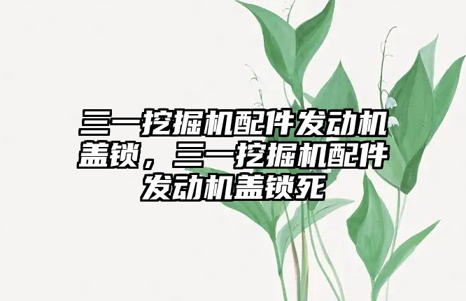 三一挖掘機配件發(fā)動機蓋鎖，三一挖掘機配件發(fā)動機蓋鎖死