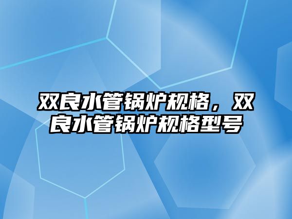 雙良水管鍋爐規(guī)格，雙良水管鍋爐規(guī)格型號