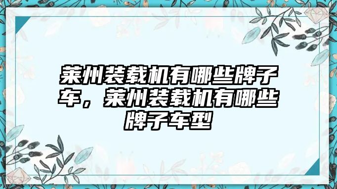 萊州裝載機有哪些牌子車，萊州裝載機有哪些牌子車型