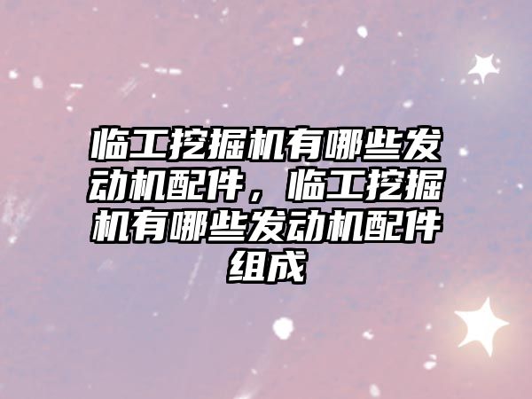 臨工挖掘機有哪些發(fā)動機配件，臨工挖掘機有哪些發(fā)動機配件組成