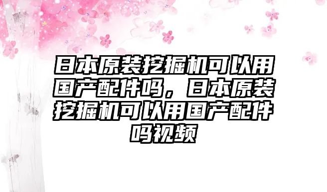 日本原裝挖掘機可以用國產(chǎn)配件嗎，日本原裝挖掘機可以用國產(chǎn)配件嗎視頻