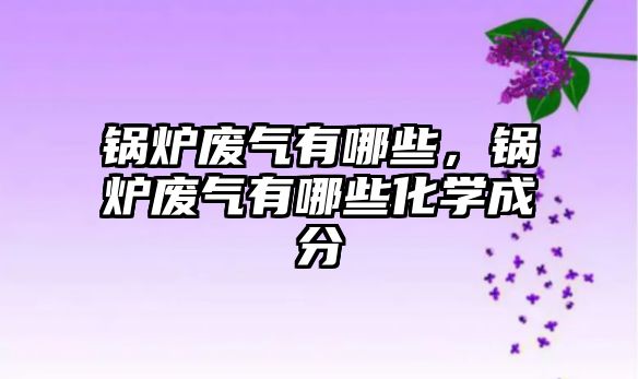 鍋爐廢氣有哪些，鍋爐廢氣有哪些化學成分