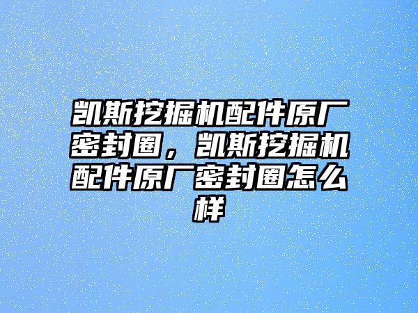 凱斯挖掘機配件原廠密封圈，凱斯挖掘機配件原廠密封圈怎么樣