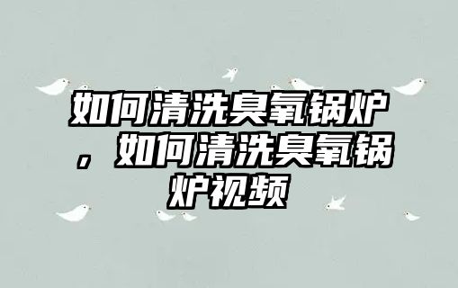 如何清洗臭氧鍋爐，如何清洗臭氧鍋爐視頻