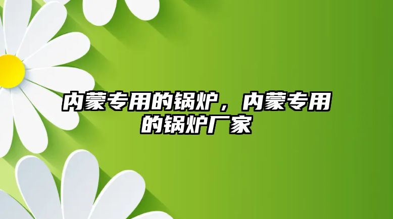 內(nèi)蒙專用的鍋爐，內(nèi)蒙專用的鍋爐廠家