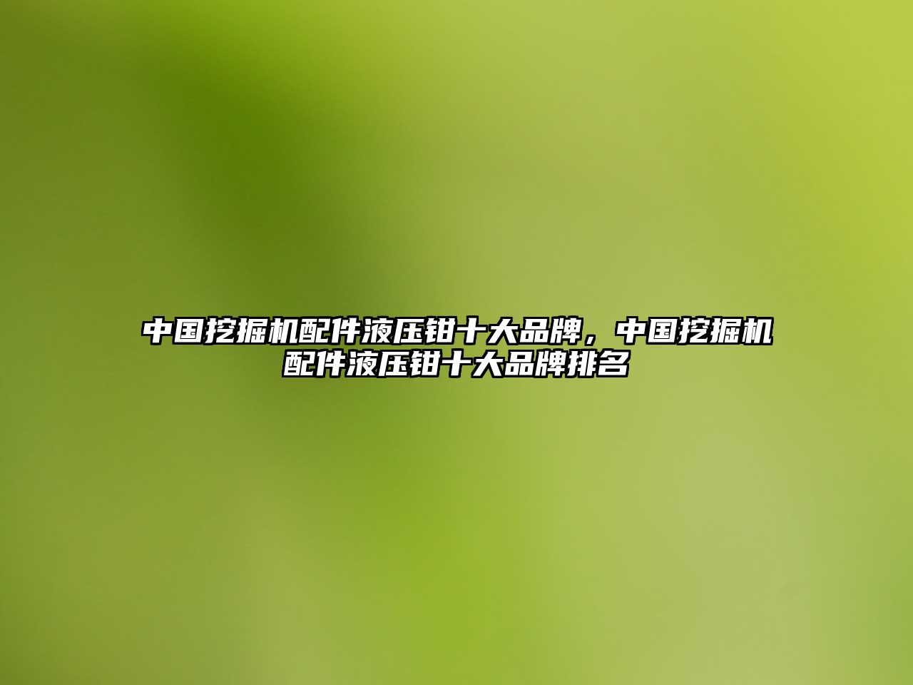 中國挖掘機配件液壓鉗十大品牌，中國挖掘機配件液壓鉗十大品牌排名