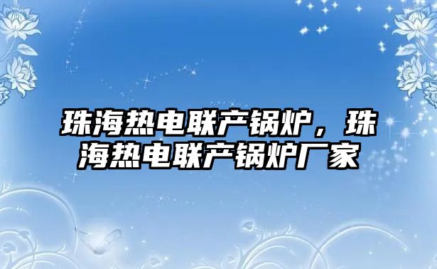 珠海熱電聯(lián)產(chǎn)鍋爐，珠海熱電聯(lián)產(chǎn)鍋爐廠家