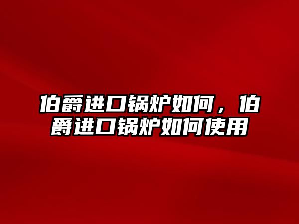 伯爵進(jìn)口鍋爐如何，伯爵進(jìn)口鍋爐如何使用