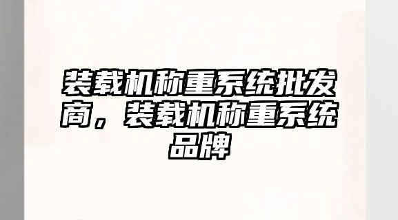 裝載機(jī)稱重系統(tǒng)批發(fā)商，裝載機(jī)稱重系統(tǒng)品牌