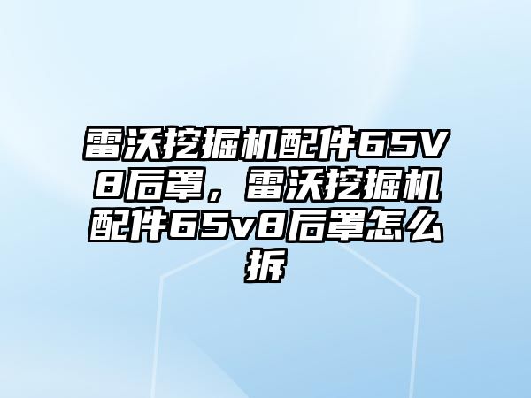 雷沃挖掘機配件65V8后罩，雷沃挖掘機配件65v8后罩怎么拆