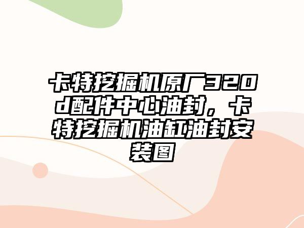 卡特挖掘機(jī)原廠320d配件中心油封，卡特挖掘機(jī)油缸油封安裝圖