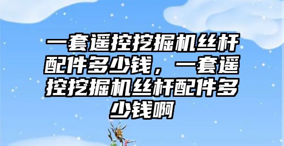 一套遙控挖掘機絲桿配件多少錢，一套遙控挖掘機絲桿配件多少錢啊