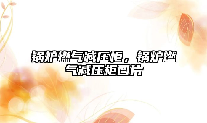 鍋爐燃?xì)鉁p壓柜，鍋爐燃?xì)鉁p壓柜圖片