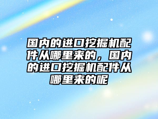 國內(nèi)的進口挖掘機配件從哪里來的，國內(nèi)的進口挖掘機配件從哪里來的呢