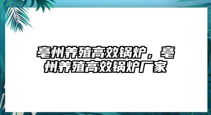 亳州養(yǎng)殖高效鍋爐，亳州養(yǎng)殖高效鍋爐廠家