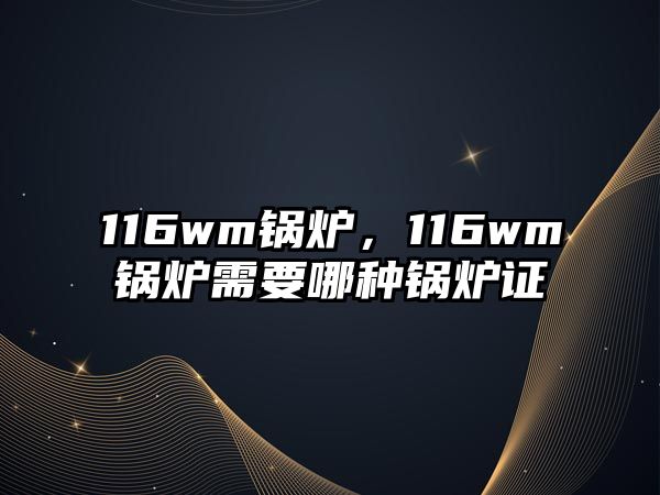 116wm鍋爐，116wm鍋爐需要哪種鍋爐證