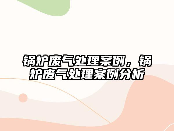 鍋爐廢氣處理案例，鍋爐廢氣處理案例分析