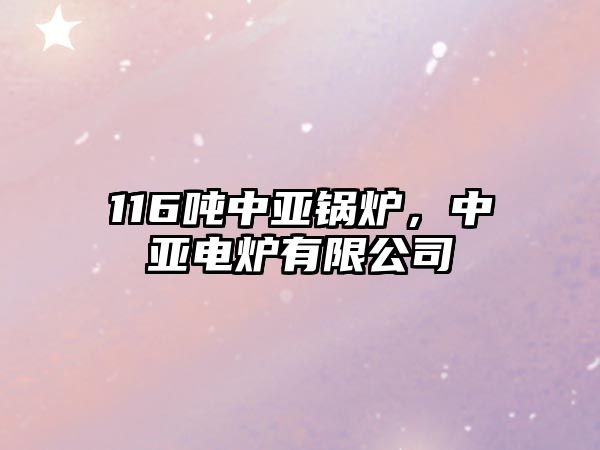 116噸中亞鍋爐，中亞電爐有限公司