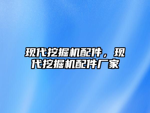 現(xiàn)代挖掘機配件，現(xiàn)代挖掘機配件廠家