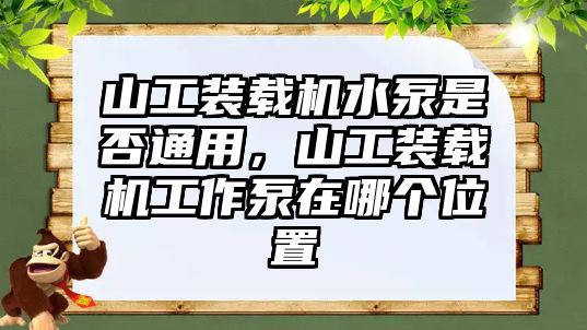 山工裝載機水泵是否通用，山工裝載機工作泵在哪個位置