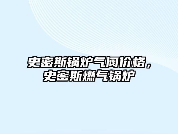 史密斯鍋爐氣閥價格，史密斯燃?xì)忮仩t