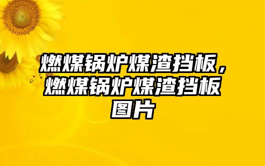 燃煤鍋爐煤渣擋板，燃煤鍋爐煤渣擋板圖片