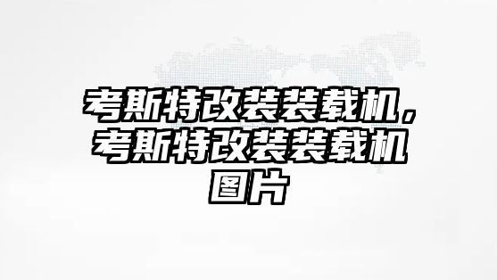 考斯特改裝裝載機(jī)，考斯特改裝裝載機(jī)圖片