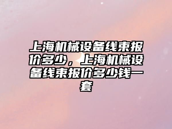 上海機械設(shè)備線束報價多少，上海機械設(shè)備線束報價多少錢一套