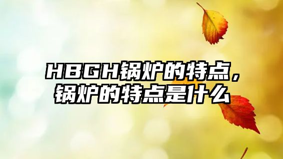 HBGH鍋爐的特點(diǎn)，鍋爐的特點(diǎn)是什么