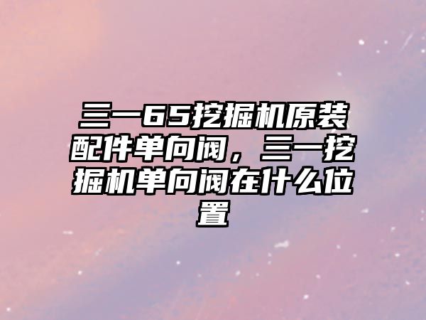 三一65挖掘機(jī)原裝配件單向閥，三一挖掘機(jī)單向閥在什么位置