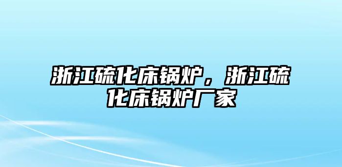 浙江硫化床鍋爐，浙江硫化床鍋爐廠家