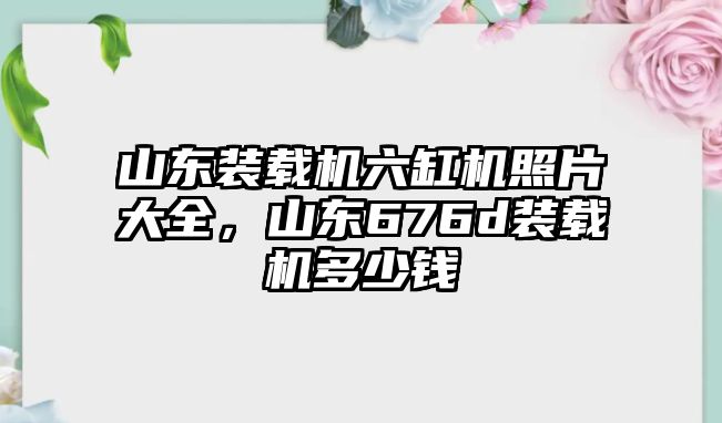 山東裝載機六缸機照片大全，山東676d裝載機多少錢