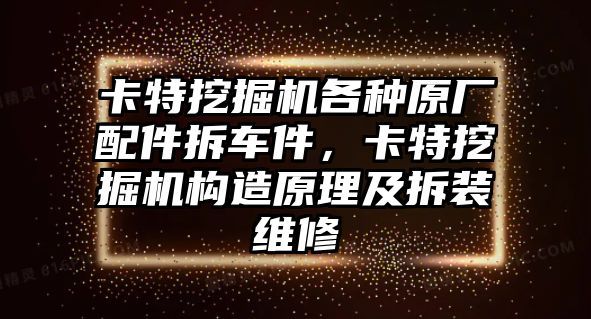 卡特挖掘機(jī)各種原廠配件拆車(chē)件，卡特挖掘機(jī)構(gòu)造原理及拆裝維修