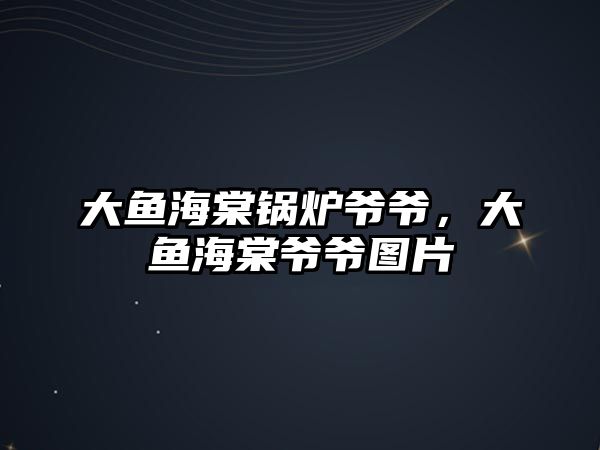 大魚海棠鍋爐爺爺，大魚海棠爺爺圖片