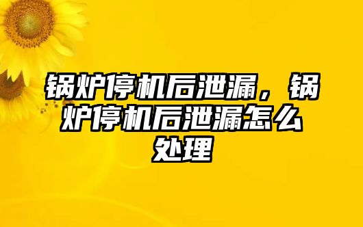 鍋爐停機(jī)后泄漏，鍋爐停機(jī)后泄漏怎么處理