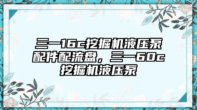 三一16c挖掘機(jī)液壓泵配件配流盤，三一60c挖掘機(jī)液壓泵