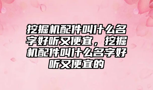 挖掘機配件叫什么名字好聽又便宜，挖掘機配件叫什么名字好聽又便宜的