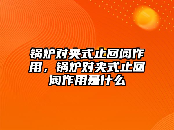 鍋爐對(duì)夾式止回閥作用，鍋爐對(duì)夾式止回閥作用是什么