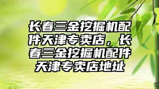 長春三金挖掘機(jī)配件天津?qū)Ｙu店，長春三金挖掘機(jī)配件天津?qū)Ｙu店地址