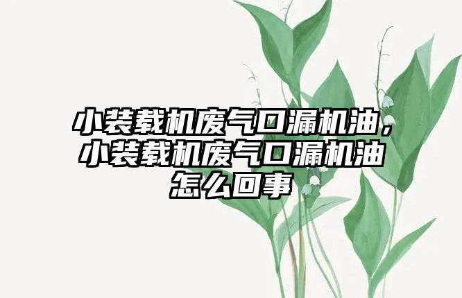 小裝載機廢氣口漏機油，小裝載機廢氣口漏機油怎么回事